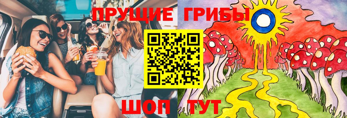 наркотики  Вход с VPN  Усть-Илимск  Галлюциногенные грибы Psilocybe  Псилоцибиновые грибы мухоморы 
