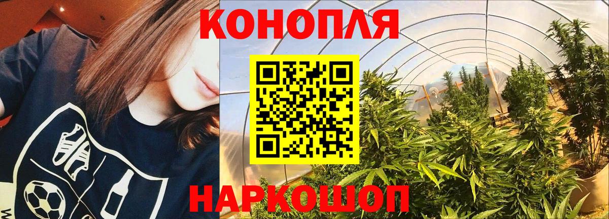 Конопля планчик Усть-Илимск